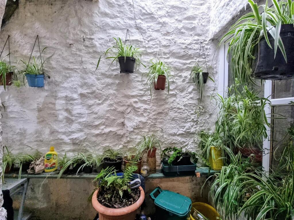 Rear courtyard