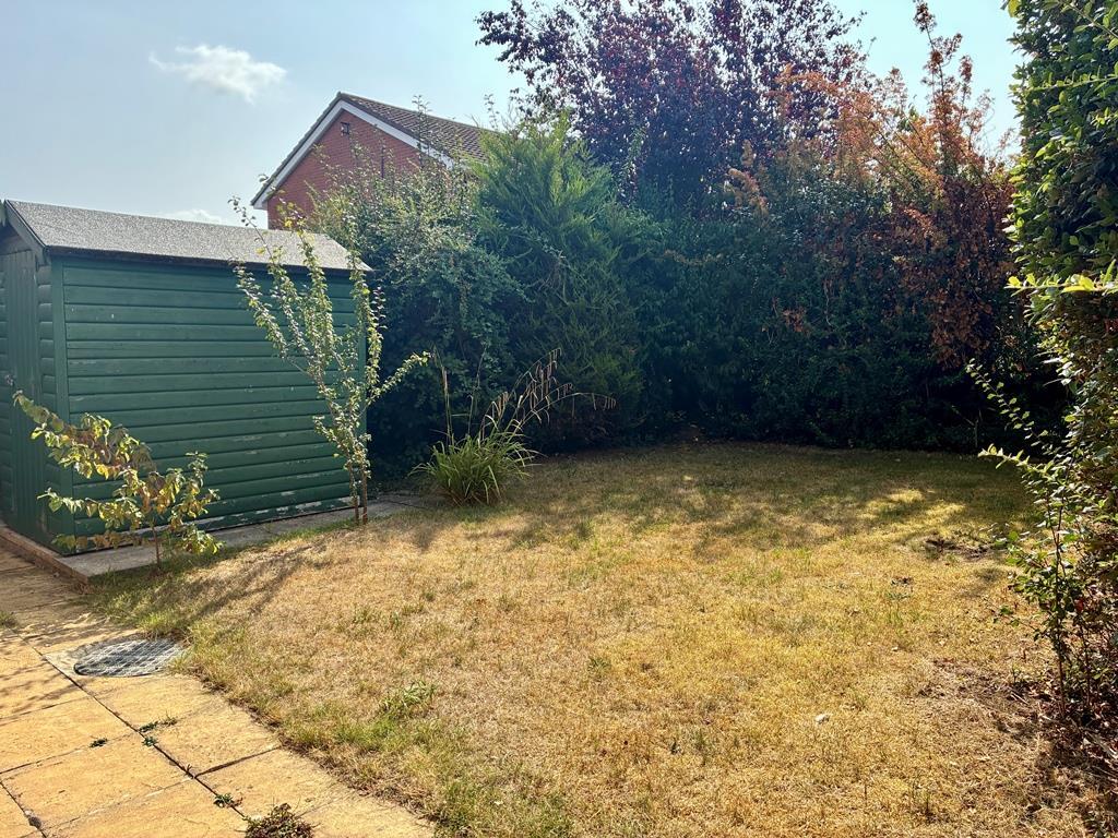 Garden.JPEG