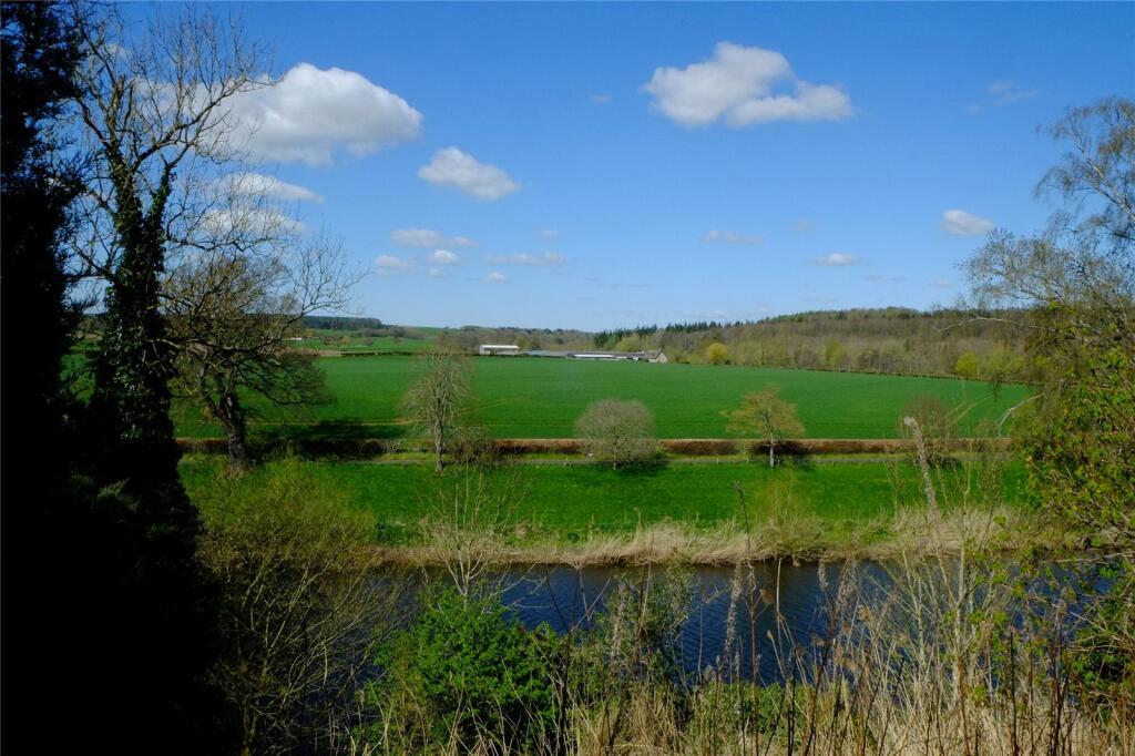 View From Site