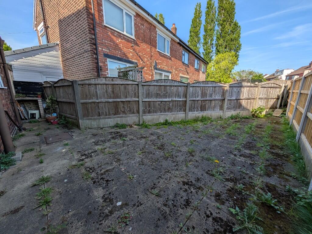 Back Garden