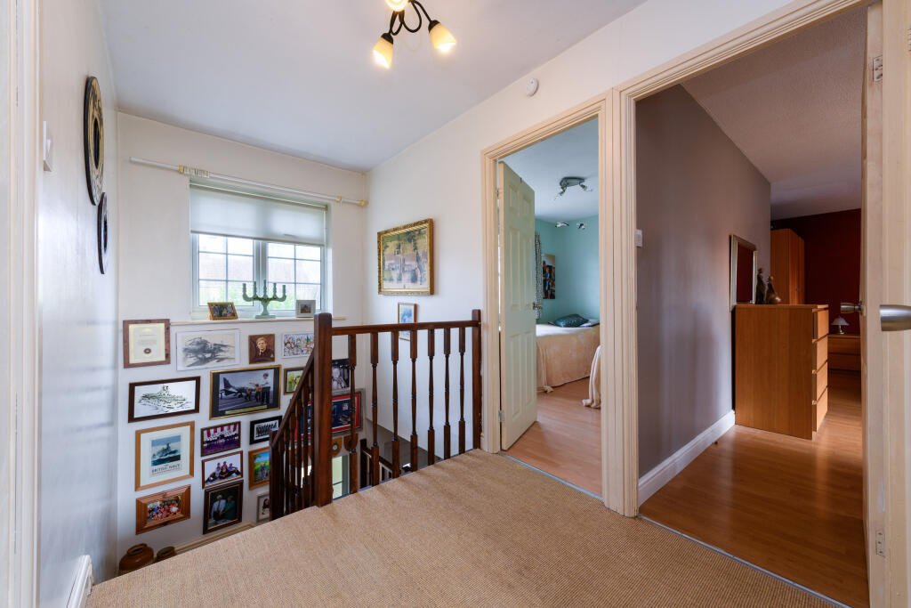 TEK HiRes 250113 051