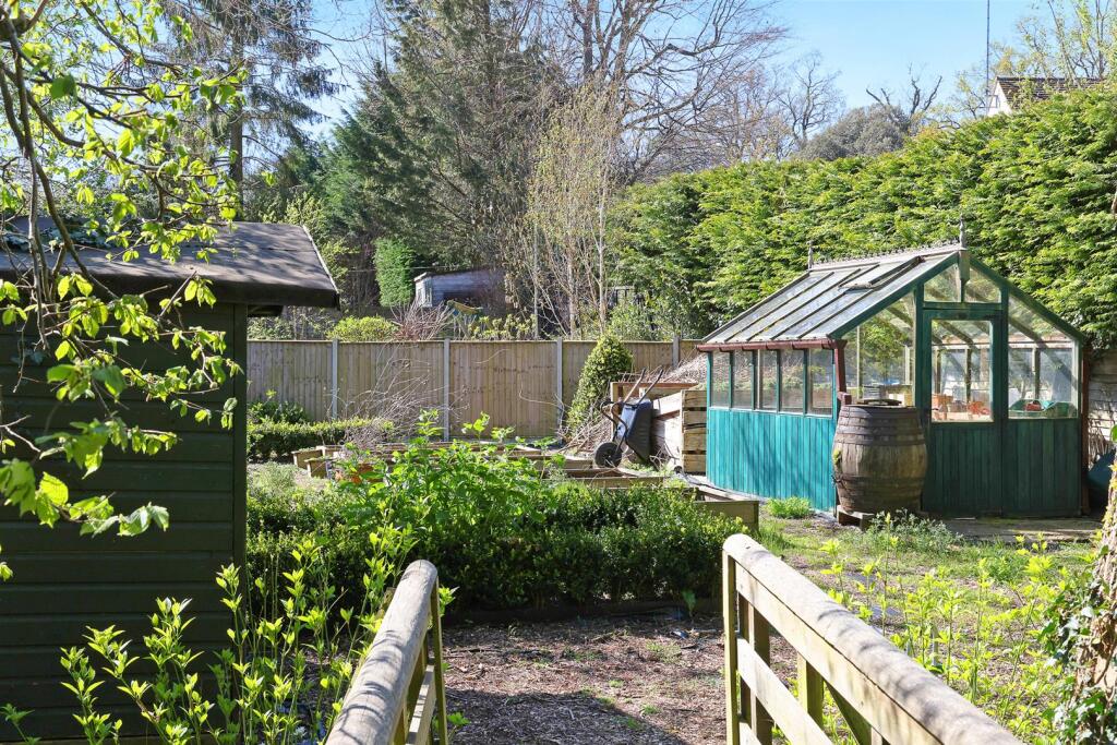 Vegetable Garden