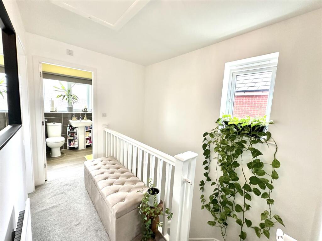 Luke Miller &amp; Associates