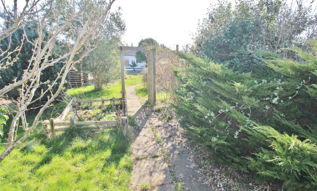 PHOTOS OF SITE