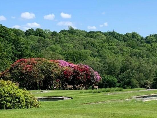 Grounds