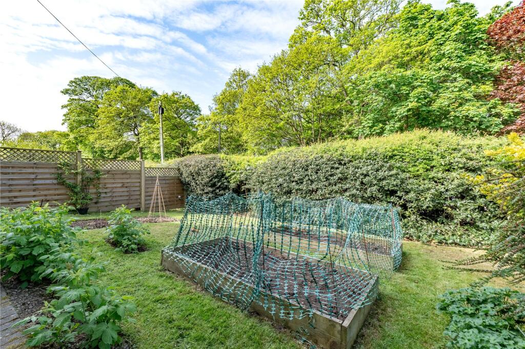 Side Garden