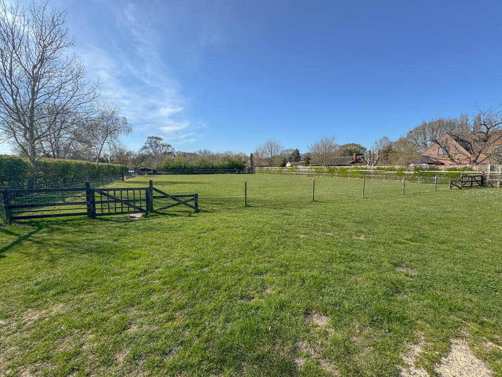 IMG 5998 T202504091618.jpg