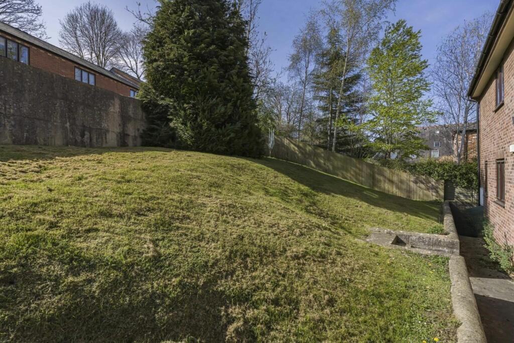 Rear View 2 edited .jpg