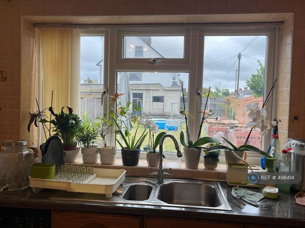 Rear Garden View From Kitchen