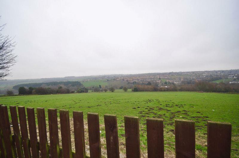 image-(9)