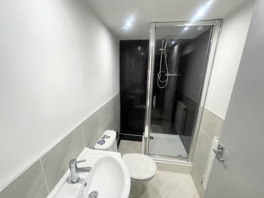 Basement Bathroom (1