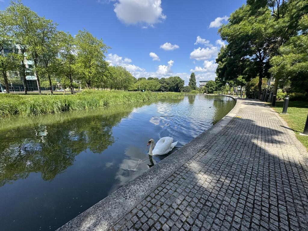 IMG_3516