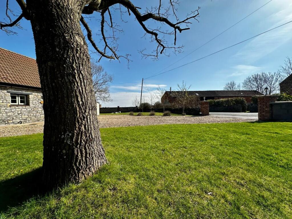 Driveway &amp; Gardens