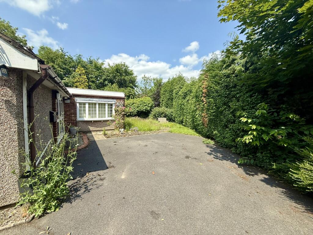 IMG 1378 T202506112224.jpeg