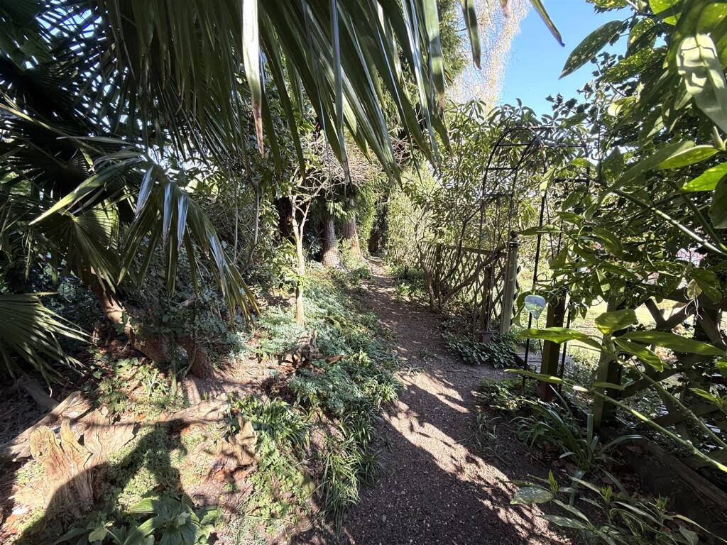 16 the pingle g.jpeg