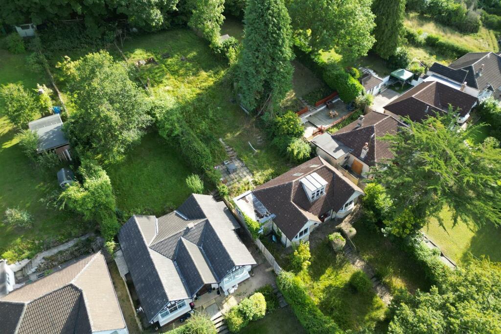 Hollis Morgan Auctions