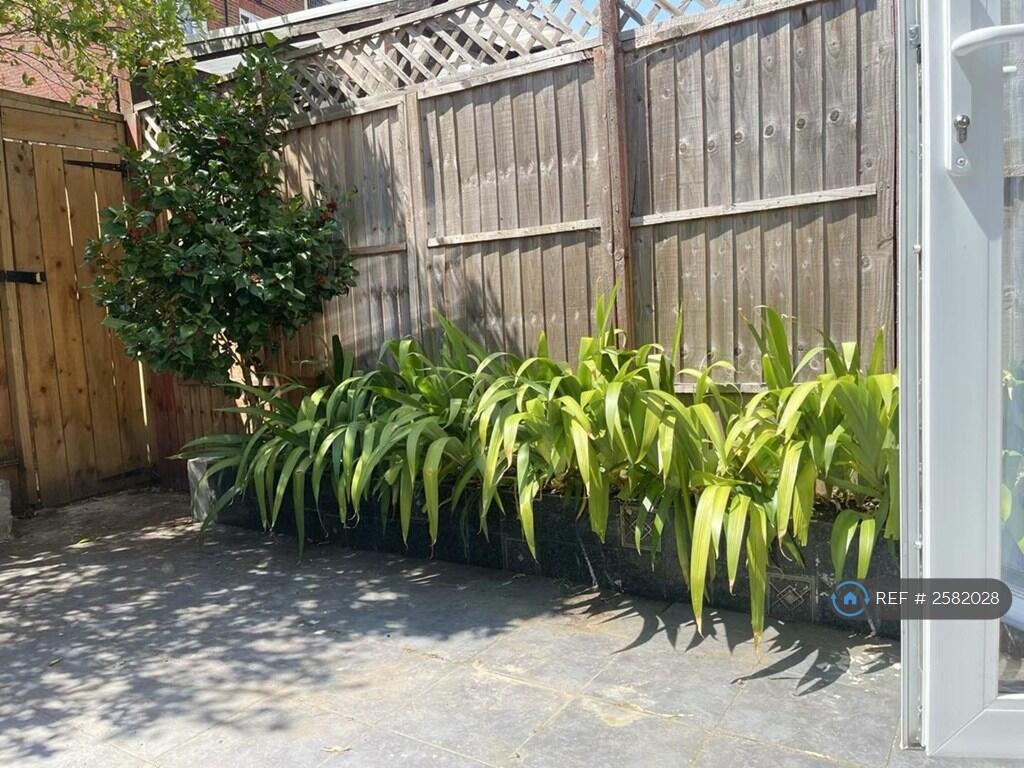 Corner Of Garden 