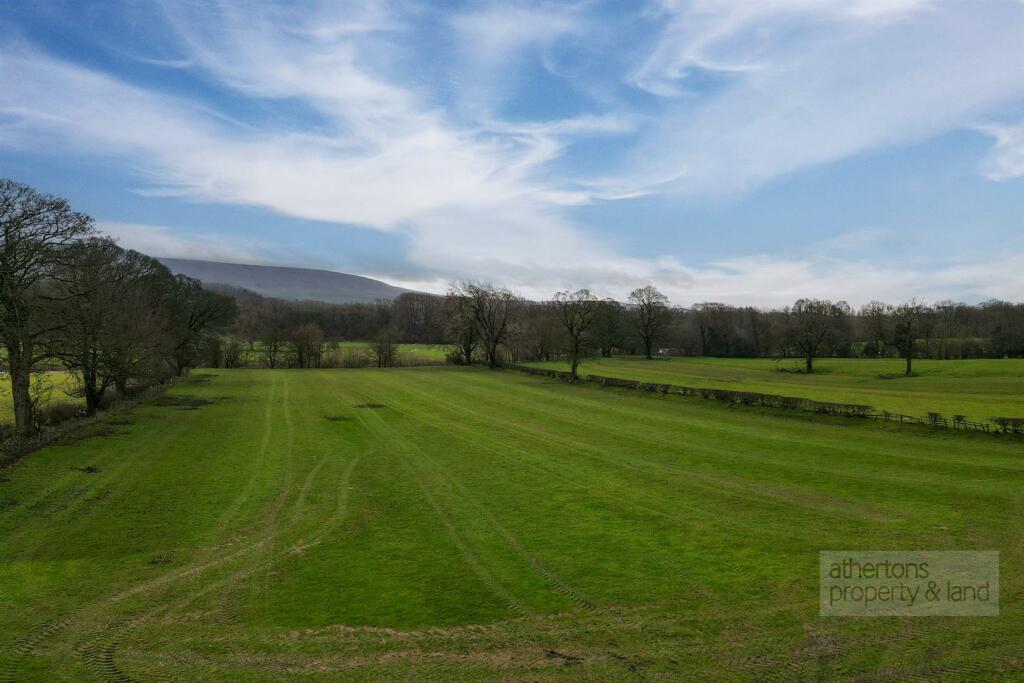 DJI_0505.jpg