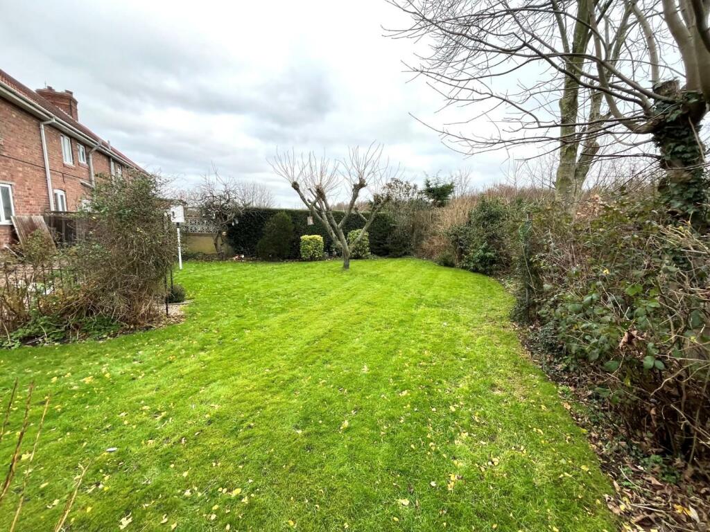 Rear garden.jpg