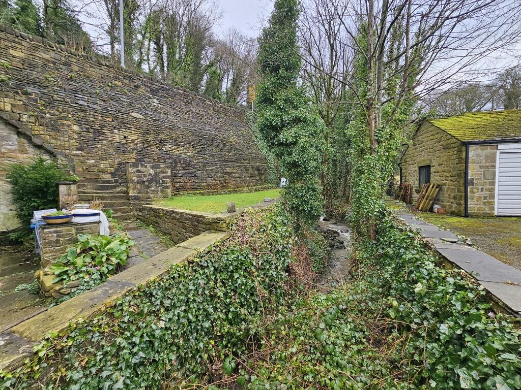 IMG-20250228-WA00...