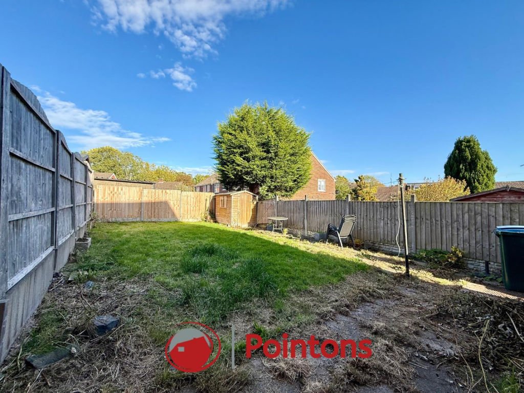 Logo image  (13).png