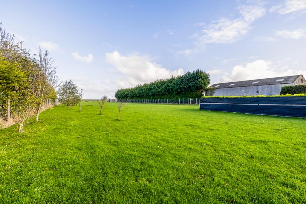 Pegasus (South Holland)-15