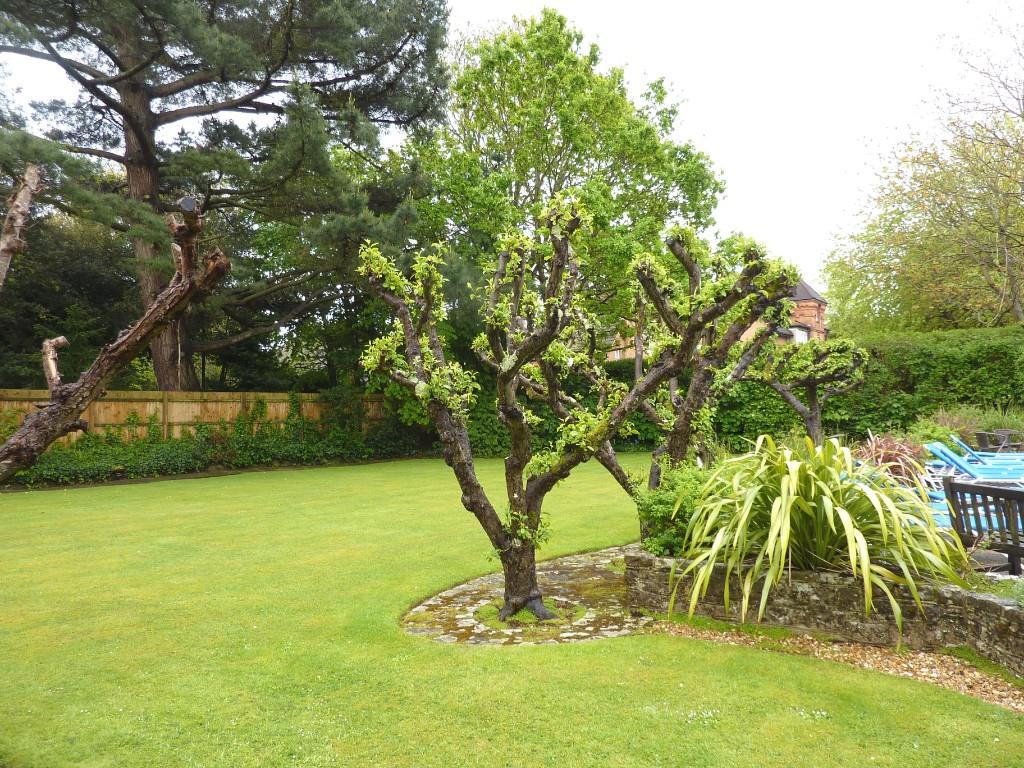 Gardens