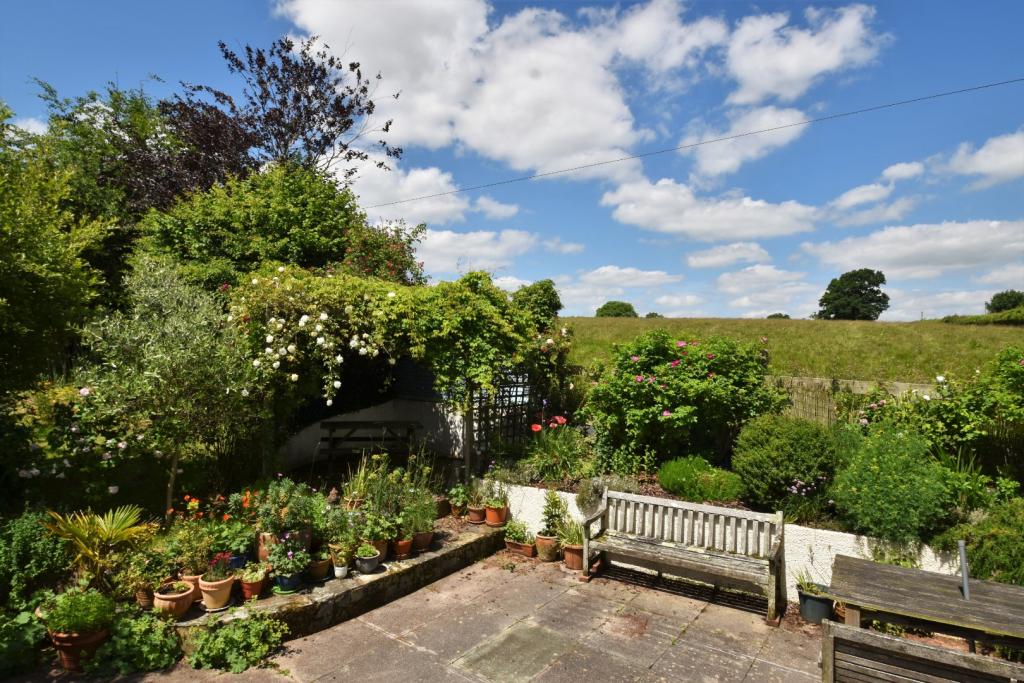 Halberton - Seddons