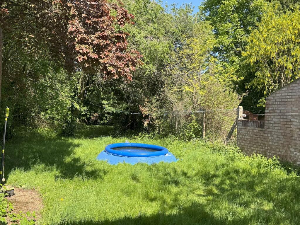 IMG_4236.jpeg