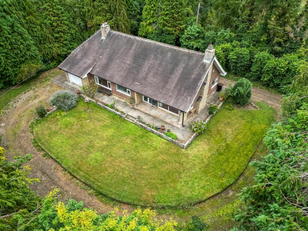 DJI_0695.jpg