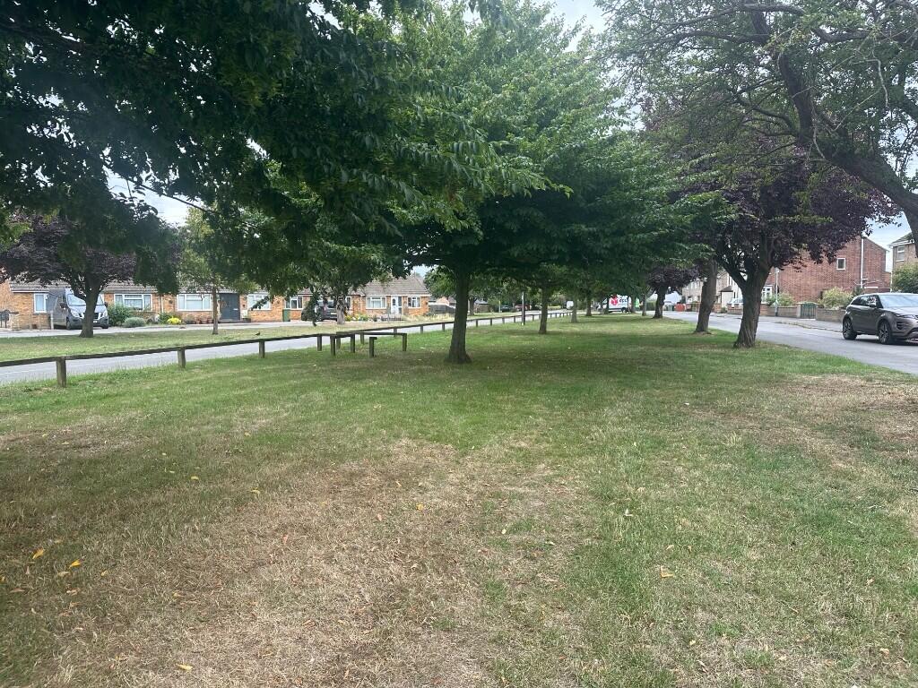 Village Green 