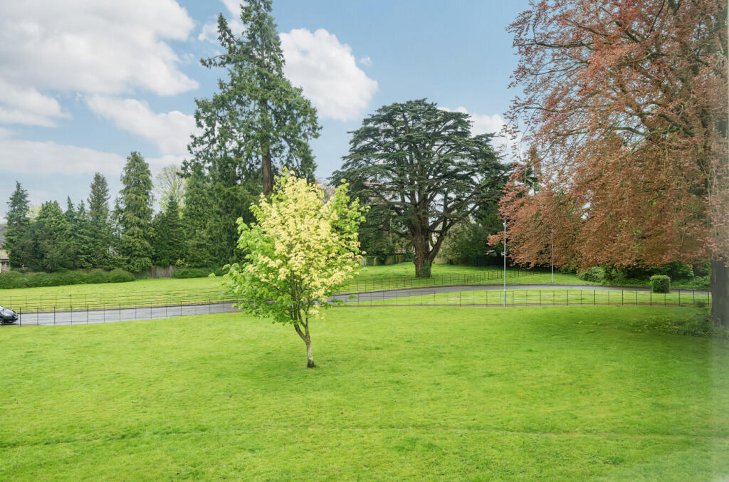 1122486   (10).jp...