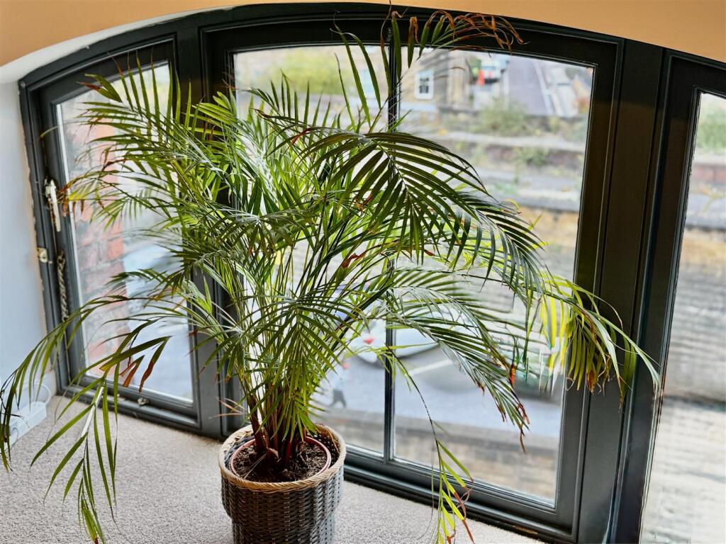 LOUNGE/KITCHEN/DINER