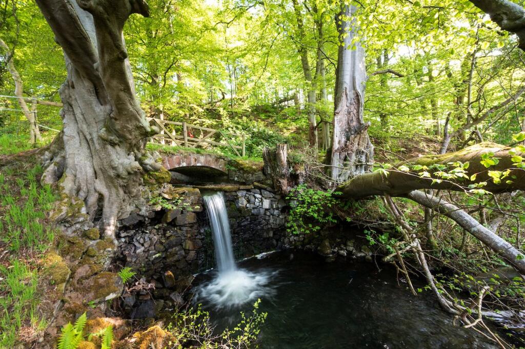 Stream