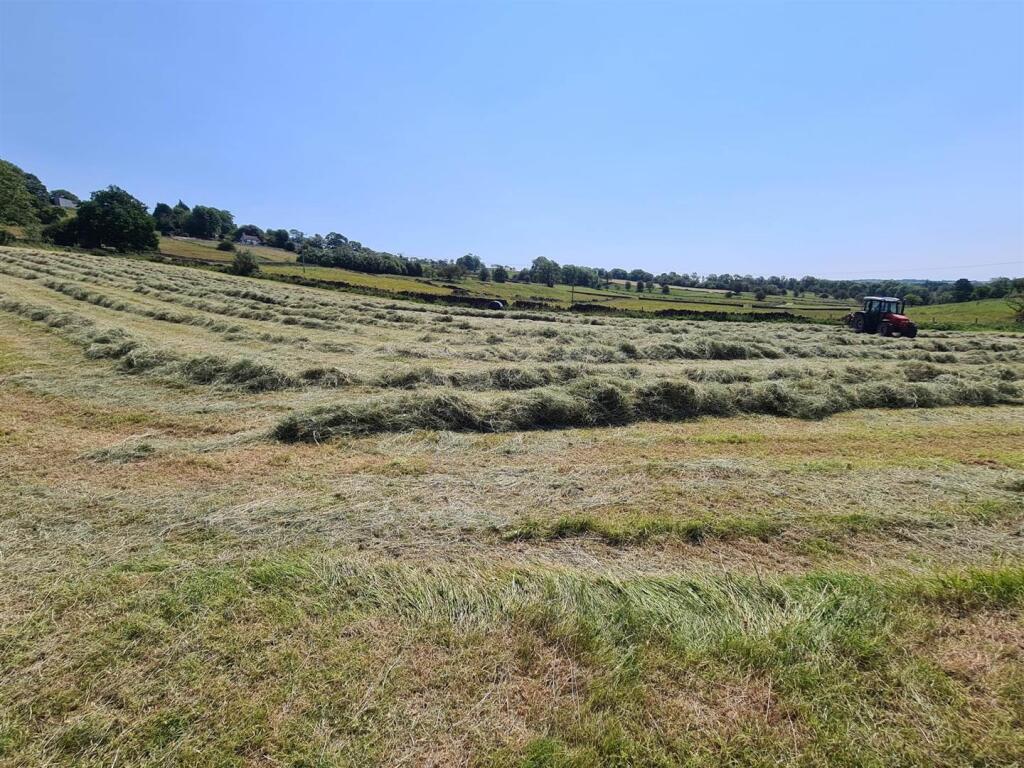 Land