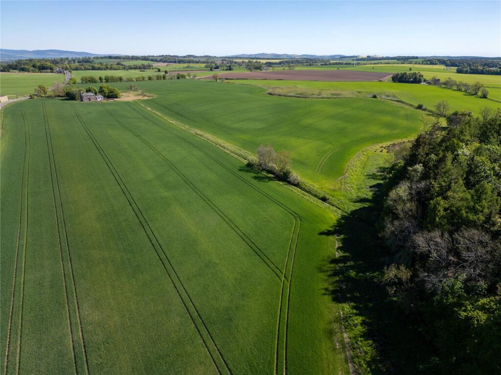 Agricultural Land