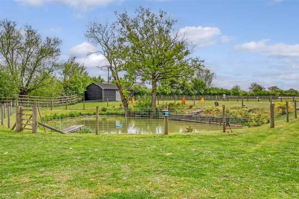 Pond