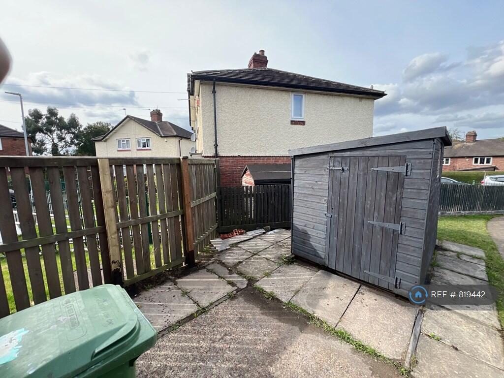 Back Garden