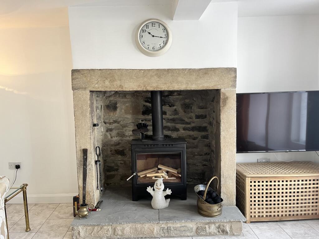 Multi-Fuel Stove 
