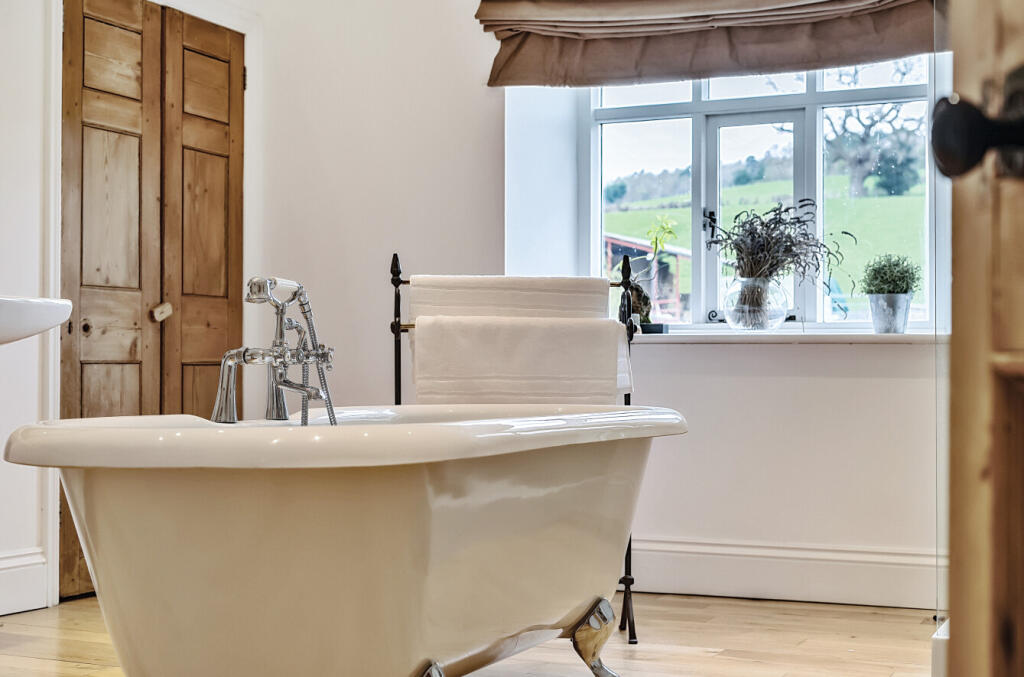 65fd7ed724fa7-l-1103777 (19)