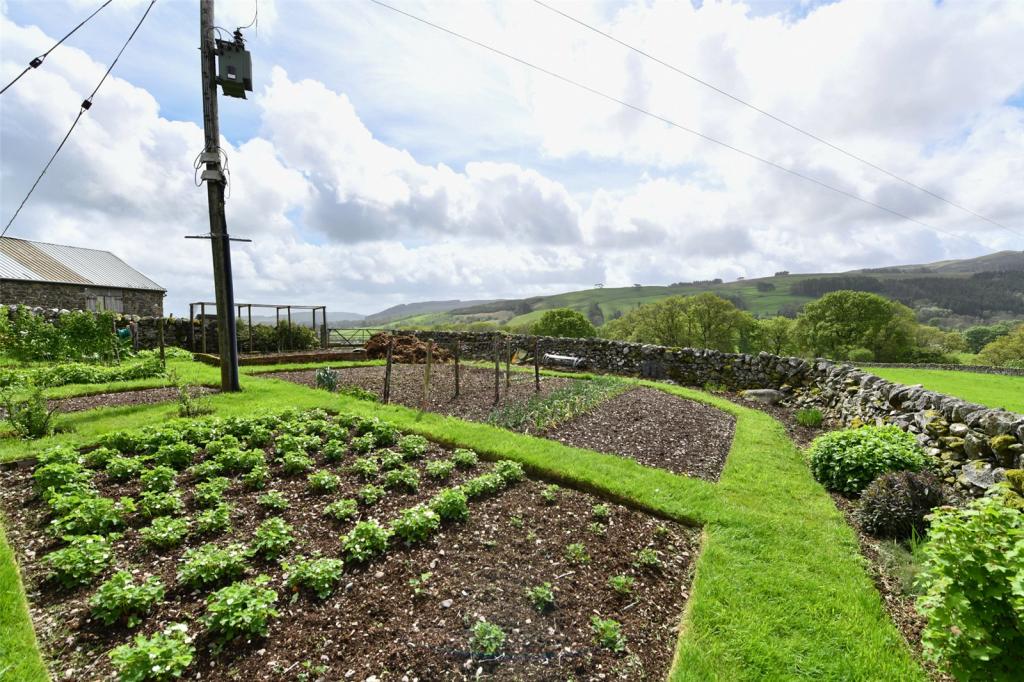 Vegetable Garden