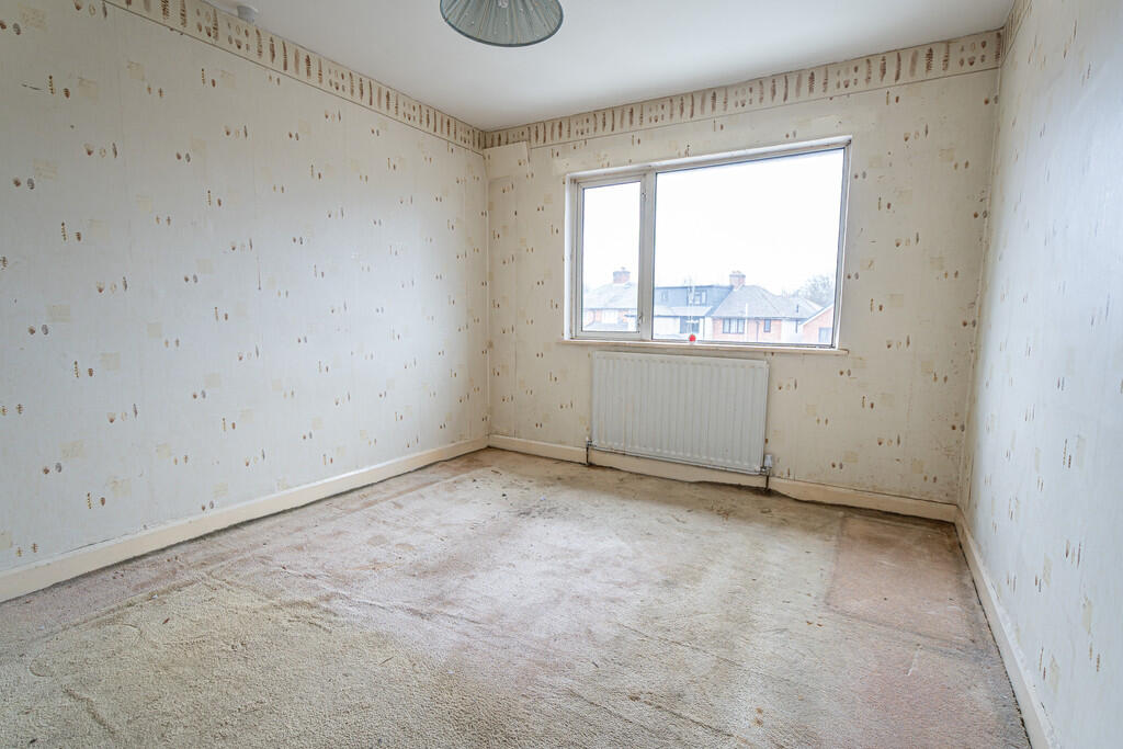 20250317-DSC03388...