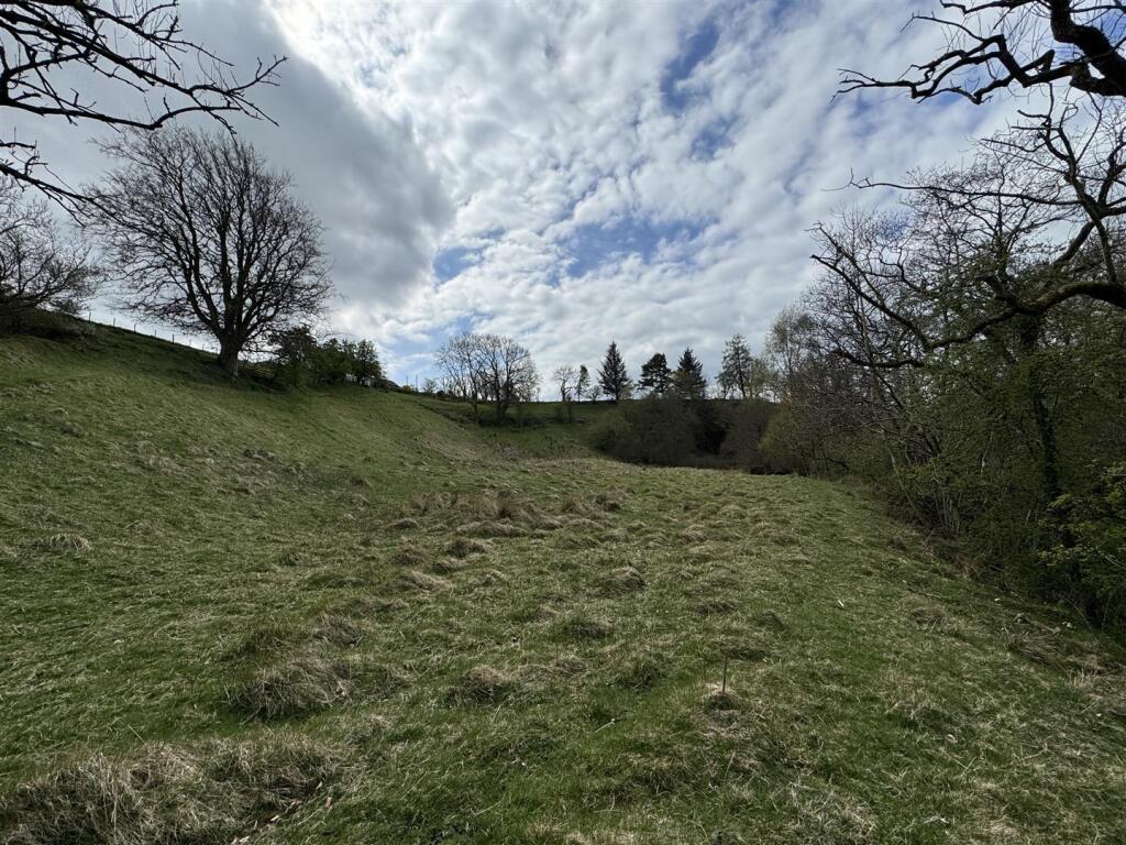 IMG_6752.jpeg
