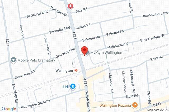 Google Maps Image
