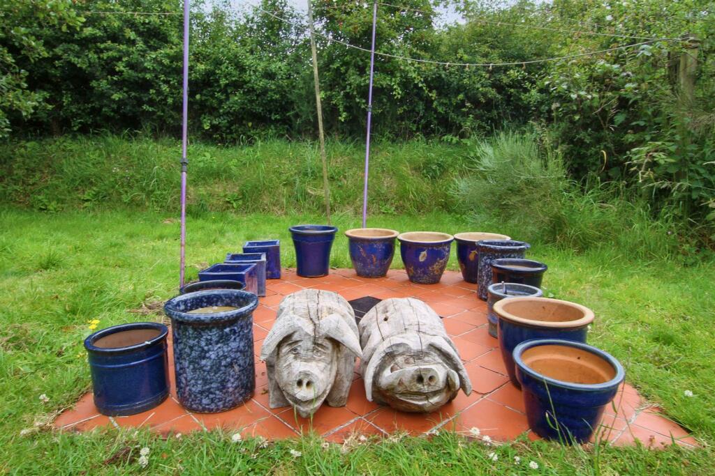 Rear garden