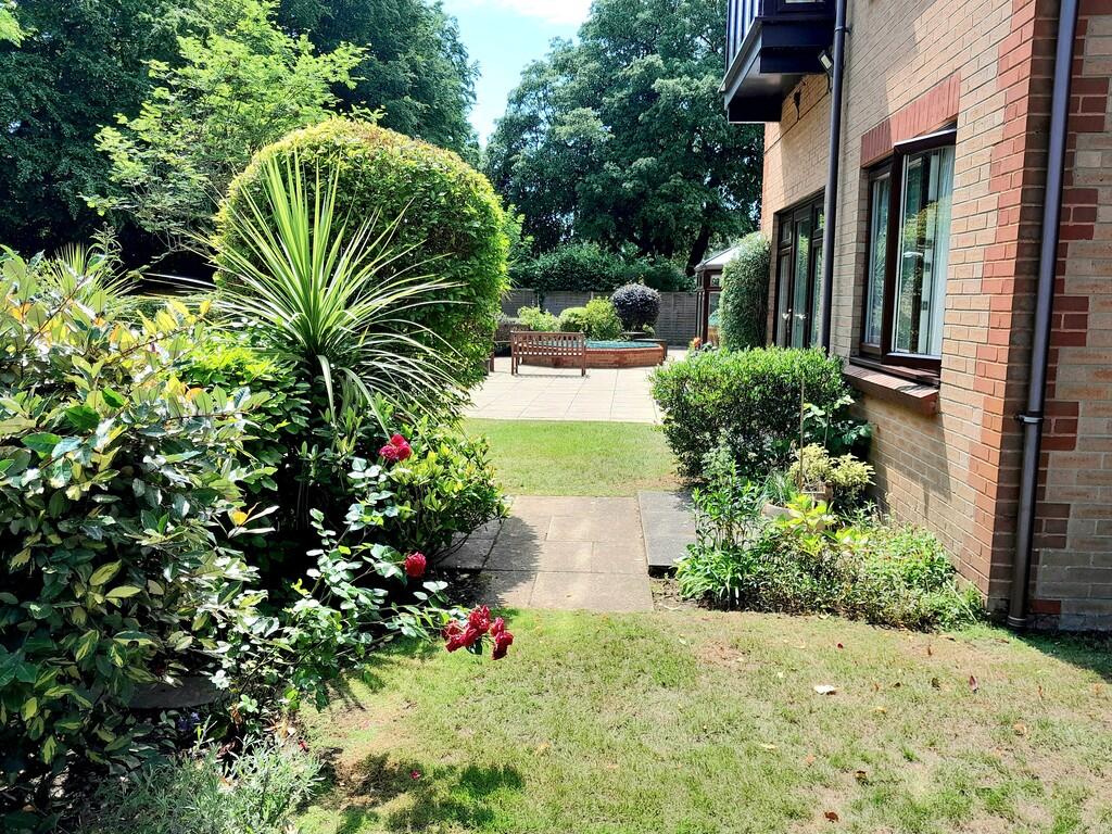 Photo 2 - garden