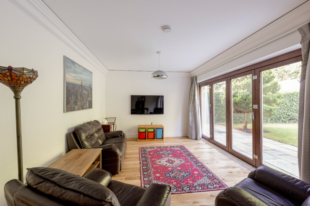 Lower Living Room