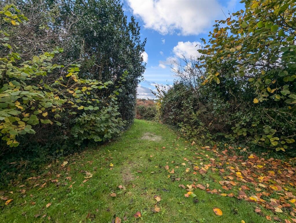 Hidden Garden