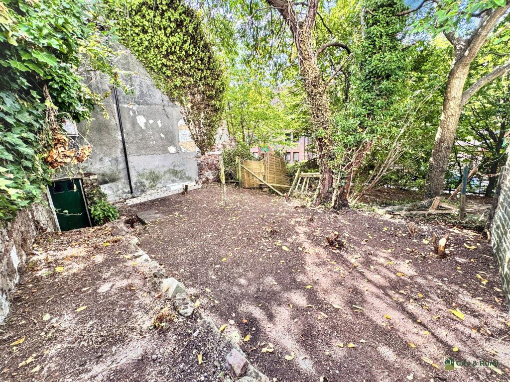 Garden T202508051002.jpg