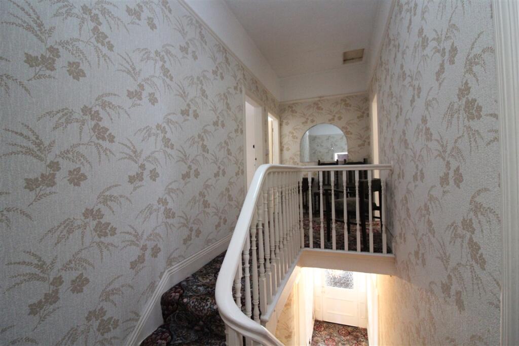 IMG 6511  Medium  T202509101545.jpg